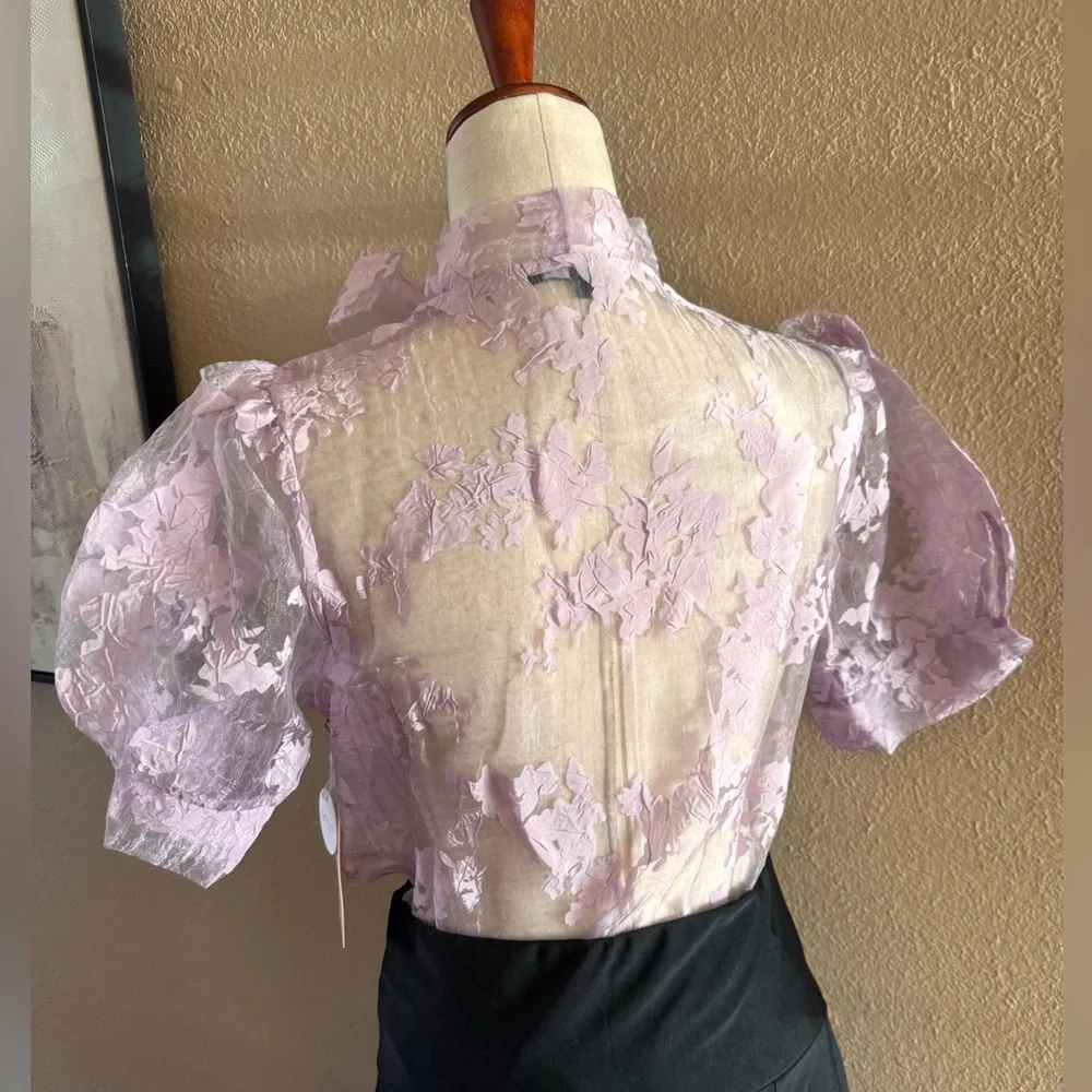 Gorgeous lilac organza sheer top